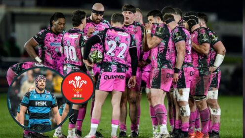 Furious Welsh fans ‘feeling numb’ after ‘unanimously approved’ WRU decision branded ‘disgraceful’ and ‘despicable’