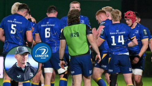 Matt Williams claims Leinster boss Leo Cullen would have been ‘kicking every bum in the club’ this week with Toulon smelling ‘some blood in the water’