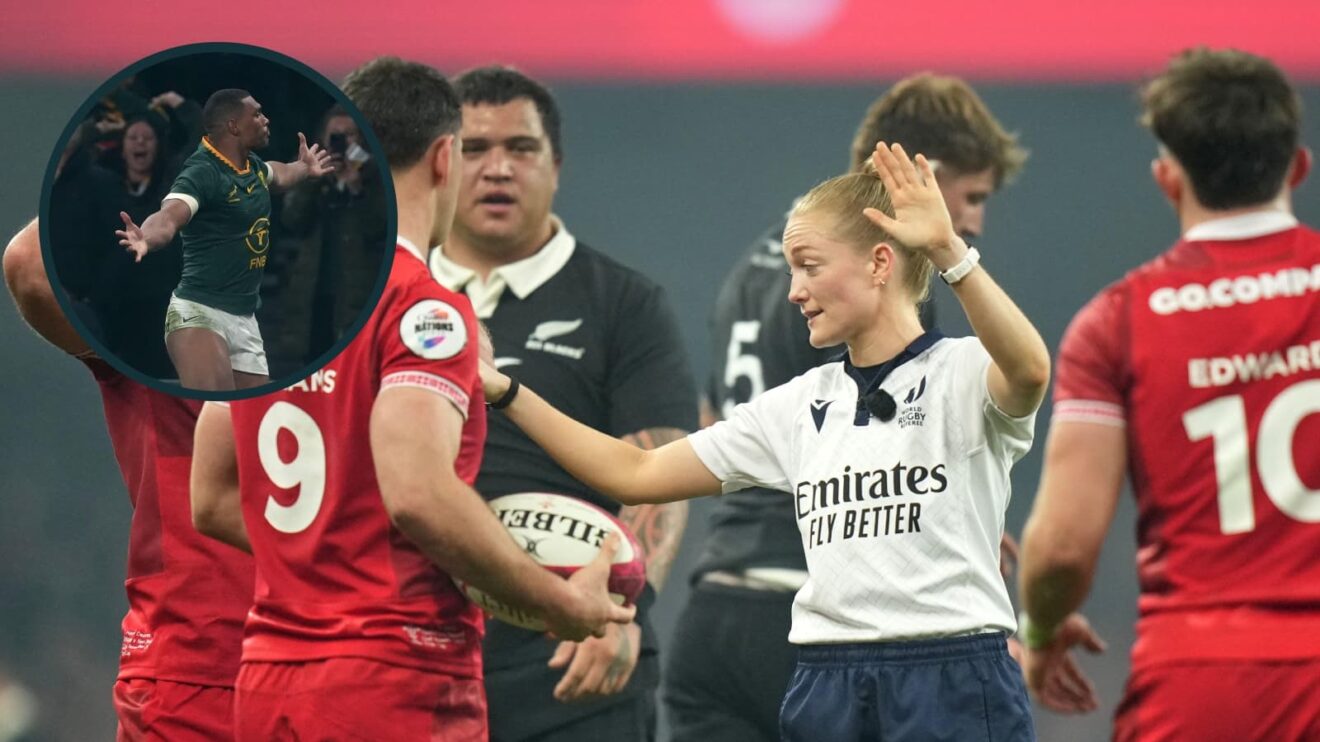 Hollie Davidson issues an instruction during the Wales versus New Zealand game and, inset, try-scoring South Africa full-back Damian Willemse.