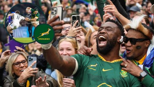 When Springboks tickets go on sale as prices for England, Scotland and Wales are revealed