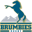 Brumbies