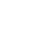 default author avatar