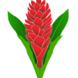 Samoa